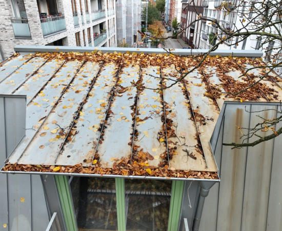 Flachdach Herbstlaub