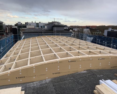 Geschwungenes Dachgerüst