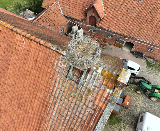 Storchennest Dach
