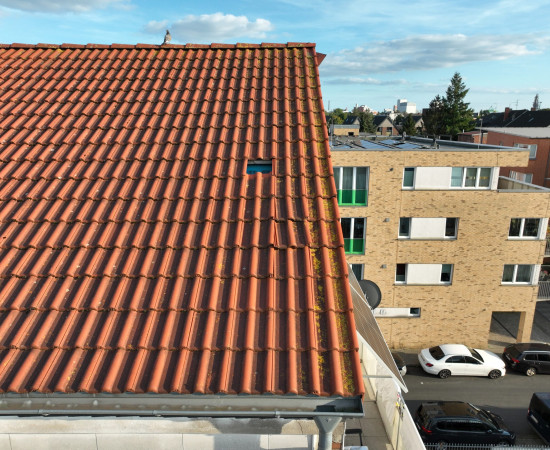 Ziegeldach Stadtansicht